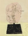 Mamma Andersson: A Storm Warning - Mamma Andersson ; Karl Ove Knausgaard - 9781644231241