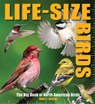 Life-Size Birds: The Big Book of North American Birds - Nancy J. Hajeski - 9781645179153