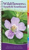 Wildflowers of the South & Southeast - Jaret C. Daniels - 9781647551339