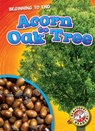 Acorn to Oak Tree - Elizabeth Neuenfeldt - 9781648342431