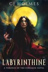 Labyrinthine - CJ Holmes - 9781648985461