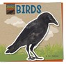 Birds - Joyce Markovics - 9781668928929