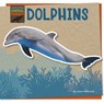 Dolphins - Joyce Markovics - 9781668928943