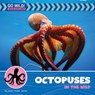 Octopuses in the Wild - Helen Foster James - 9781668972809