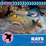 Rays in the Wild - Susan H. Gray - 9781668972823