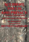 Accident, Touch, and Privacy - Niccolo Caldararo - 9781680534160