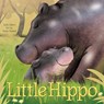 Little Hippo - Julie Abery - 9781681525631