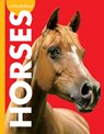 Curious about Horses - Jill Sherman - 9781681526157