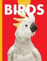 Curious about Birds - Jill Sherman - 9781681526164