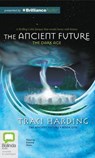 The Dark Age - HARDING,  Traci - 9781743190807