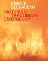 Picturing the Climate Emergency - Susanne Julia Thurow - 9781761170584