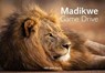 Madikwe Game Reserve - Philip van den Berg ; Ingrid van den Berg ; Heinrich Van Den Berg - 9781776323296
