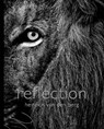 Reflection: Pocket Edition - Heinrich Van Den Berg - 9781776433155