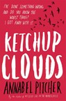 Ketchup Clouds - Annabel Pitcher - 9781780620312