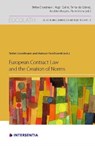 European Contract Law and the Creation of Norms - Stefan Grundmann ; Mateusz Grochowski - 9781780689654