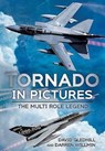 Tornado in Pictures - David Gledhill - 9781781554630
