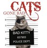 Cats Gone Bad - Kat Scratching - 9781782743200