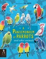 A Pandemonium of Parrots - Kate Baker - 9781783704620