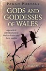 Pagan Portals - Gods and Goddesses of Wales - Halo Quin - 9781785356223