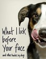 What I Lick Before Your Face ... and Other Haikus By Dogs - Jamie Coleman - 9781787631144