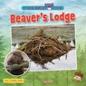Beaver's Lodge - Ruth Owen - 9781788566223