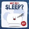 Sleep - Emilie Dufresne - 9781789980448