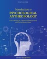 Introduction to Psychological Anthropology - Sonja K. Ulrich - 9781793521057