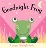 Goodnight Frog - Amber Lily - 9781801050616