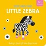 Little Zebra - Amber Lily - 9781801050739