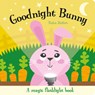 Goodnight Bunny - Katie Button - 9781801057905