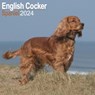 English Cocker Spaniel Calendar 2024 Square Dog Breed Wall Calendar - 16 Month -  - 9781804600405