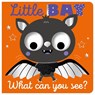 Little Bat What Can You See? - Cara Jenkins - 9781805442059