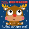 Little Reindeer What Can You See? - Cara Jenkins - 9781805442868