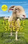 Twelve Sheep - John Connell - 9781805461920