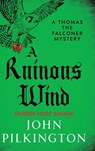 A Ruinous Wind - John Pilkington - 9781806008926