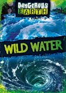 Wild Water - Noah (Booklife Publishing Ltd) Leatherland - 9781807940034