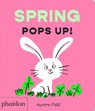 Spring Pops Up! - Aurore Petit - 9781837292097