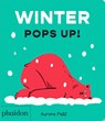 Winter Pops Up! - Aurore Petit - 9781837292103
