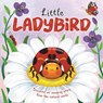 Little Ladybird - Autumn Publishing - 9781837714339