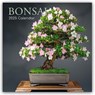 Bonsai - Bonsaibäume 2025 - 16-Monatskalender -  - 9781837889501