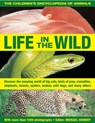 The Children's Encyclopedia of Animals: Life in the Wild - Michael Chinery - 9781843228639