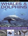 Exploring Nature: Whales & Dolphins: Dive into the Watery World of Whales, Dolphins, Narwhals and Rorquals, All Shown in 190 Spectacular Images - Robin Kerrod - 9781843229124