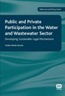 Public and Private Participation in the Water and Wastewater Sector - Cledan Mandri-Perrott - 9781843391180