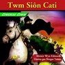 Twm Sion Cati - EDWARDS,  Meinir Wyn - 9781847711564