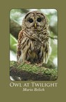 Owl at Twilight - Mario Relich - 9781849212243