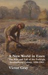 A New World in Essex - Victor Gray - 9781869848248