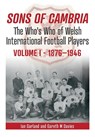 Sons of Cambria - Ian Garland ; Gareth Davies - 9781902719795