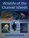 Wildlife of the Channel Islands - Sue Daly - 9781903341247