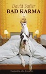 Bad Karma - David Safier - 9781906780364