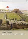 On Silbury Hill - Adam Thorpe - 9781908213365